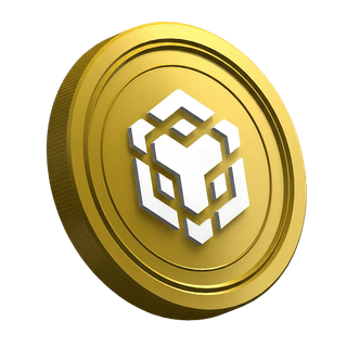 Beginner trader guide page showing BNB cryptocurrency